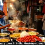 Culinary tours in India: Must-try street foods